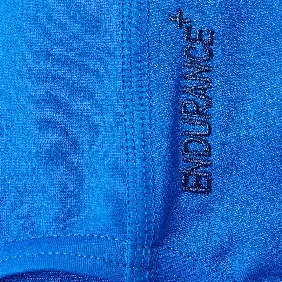 Speedo Girls' Endurance+ Medalist Swimsuit Blue