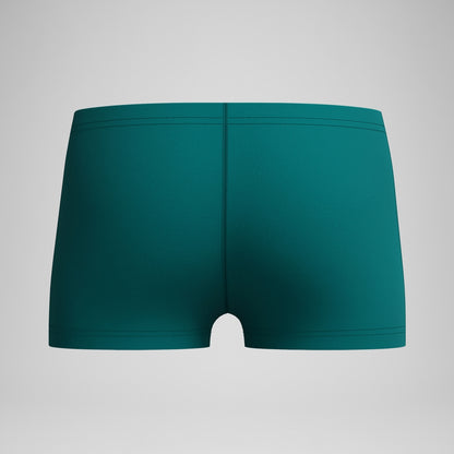 Speedo Boys Medley Logo Aquashort Green